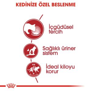 Royal Canin Pouch Instinctive Jöle İçerisinde Yaş Kedi Maması 85gr
