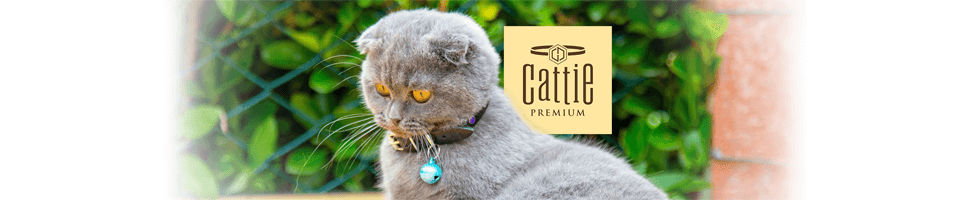 cattie cattie