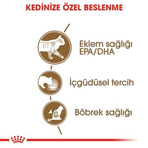 Royal Canin Pouch 12 yaş ve Üzeri Kediler için Yaş Kedi Maması 85gr