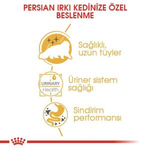 Royal Canin Pouch İran Kedisi için Yaş Kedi Maması 85gr