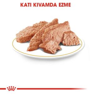 Royal Canin Pouch İran Kedisi için Yaş Kedi Maması 85gr