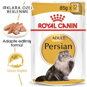 Royal Canin Pouch İran Kedisi için Yaş Kedi Maması 85gr