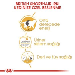 Royal Canin Pouch British Shorthair için Yaş Kedi Maması 85gr