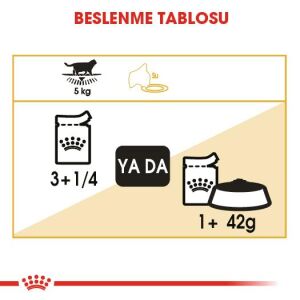 Royal Canin Pouch British Shorthair için Yaş Kedi Maması 85gr