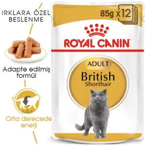 Royal Canin Pouch British Shorthair için Yaş Kedi Maması 85gr