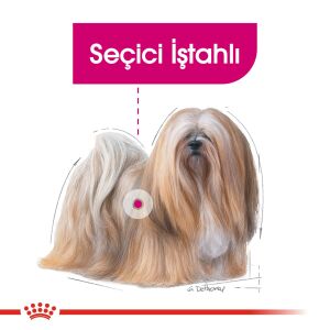 Royal Canin CCN Exigent Seçici Köpek Konservesi 85gr