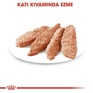 Royal Canin CCN Exigent Seçici Köpek Konservesi 85gr