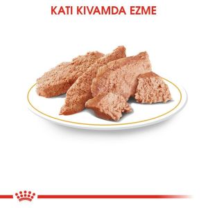 Royal Canin Chihuahua Yetişkin Köpek Yaş Maması 85gr