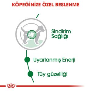 Royal Canin Mini Adult Konserve Köpek Maması 85gr