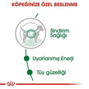 Royal Canin Mini Adult Konserve Köpek Maması 85gr