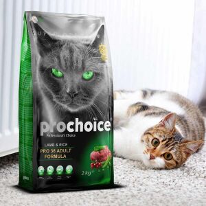 PROCHOICE CAT PRO36 ADULT LAMB & RICE 2KG