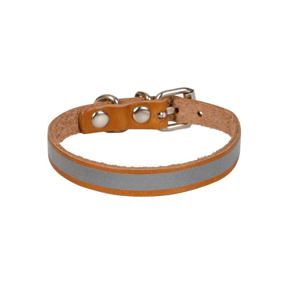 Cattie Reflektörlü Deri Kedi Tasması Kamel 1X20-23Cm