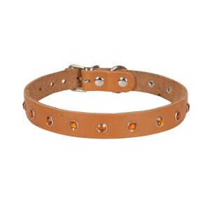 Cattie Taşlı Deri Kedi Tasması Kamel 1X16-20Cm