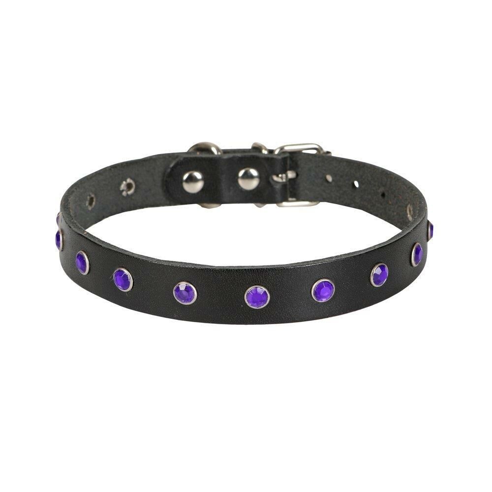 Cattie Taşlı Deri Kedi Tasması Siyah 1,5X27-33Cm