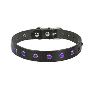 Cattie Taşlı Deri Kedi Tasması Siyah 1,5X27-33Cm