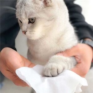 Pawise Hijyenik Islak Mendil 70'li Paket
