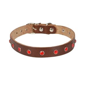 Cattie Taşlı Deri Kedi Tasması Kahve 1,5X27-33Cm