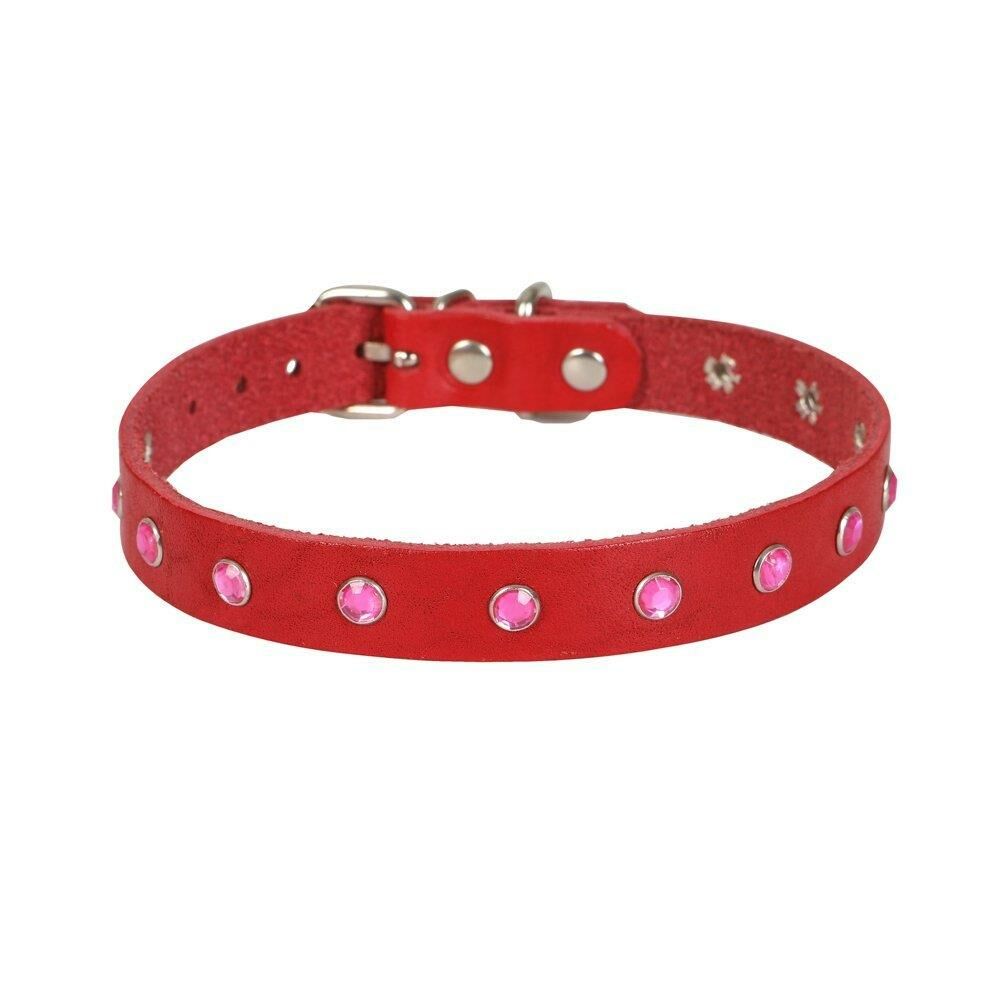 Cattie Taşlı Deri Kedi Tasması Kırmızı 1,5X27-33Cm