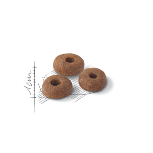 Royal Canin Fit32 Yetişkin Kedi Maması 1kg (AÇIK)