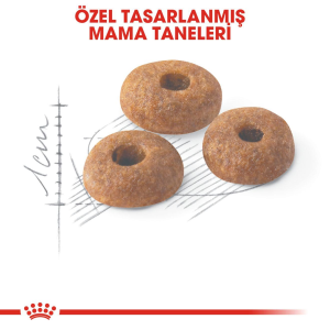Royal Canin Fit32 Yetişkin Kedi Maması 1kg (AÇIK)