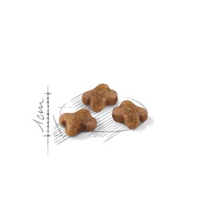 Royal Canin Kitten Yavru Kedi Maması 1kg (AÇIK)