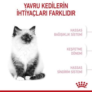 Royal Canin Kitten Yavru Kedi Maması 1kg (AÇIK)