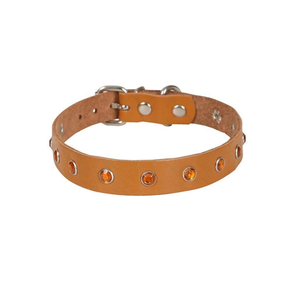 Cattie Taşlı Deri Kedi Tasması Kamel 1,5X26-31Cm