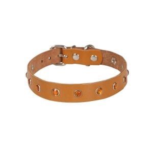 Cattie Taşlı Deri Kedi Tasması Kamel 1,5X26-31Cm