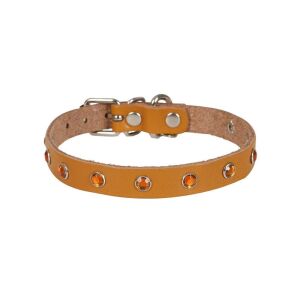 Cattie Taşlı Deri Kedi Tasması Kamel 1,2X23-28Cm