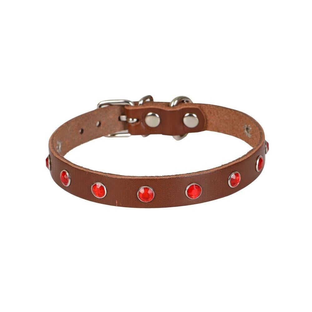 Cattie Taşlı Deri Kedi Tasması Kahve 1,2X23-28Cm
