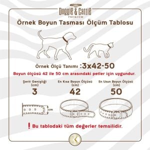 Cattie Taşlı Deri Kedi Tasması Kamel 1X20-23Cm
