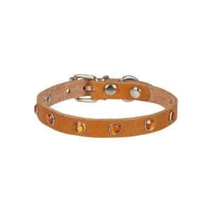 Cattie Taşlı Deri Kedi Tasması Kamel 1X20-23Cm