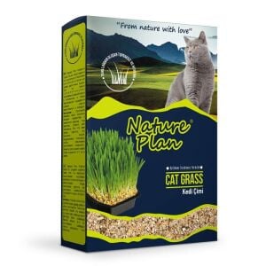 Nature Plan Kedi Çimi 500ml