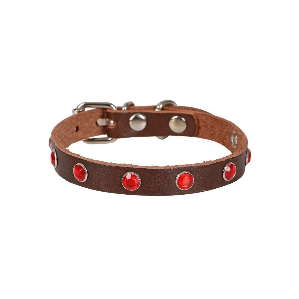 Cattie Taşlı Deri Kedi Tasması Kahve 1X20-23Cm