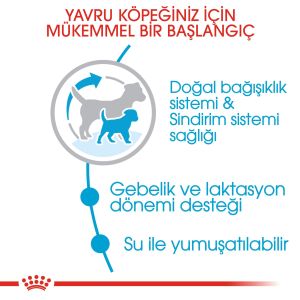Royal Canin Mini Starter Küçük Irk Anne ve Yavru Köpek Maması 3kg