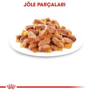 Royal Canin Pouch Kitten Jöle İçerisnde Yaş Yavru Kedi Maması 85gr