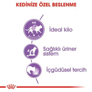 Royal Canin Pouch Sterilised37 Kısırlaştırılmış Kediler için Yaş Kedi Maması 85gr