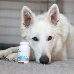Vet Expert VetoSkin Köpek & Kedi Vitamin 90 Tablet