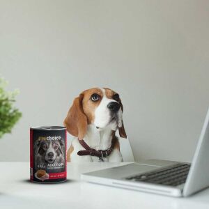 ProChoice Kuzulu Yetişkin Köpek Konservesi 400gr