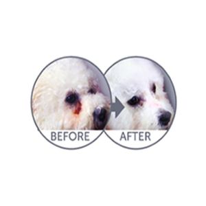 Natures Protection Lifestyle Tahılsız Karides ve Somonlu Kısırlaştırılmış Kedi Maması 1.5kg