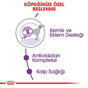 Royal Canin Giant Adult Dev Irk Köpek Maması 15kg