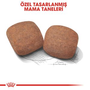 Royal Canin Giant Adult Dev Irk Köpek Maması 15kg