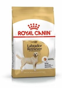 Royal Canin Labrador Retriever Irka Özel Yetişkin Köpek Maması 12kg