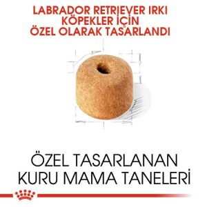 Royal Canin Labrador Retriever Irka Özel Yetişkin Köpek Maması 12kg