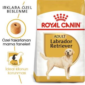Royal Canin Labrador Retriever Irka Özel Yetişkin Köpek Maması 12kg