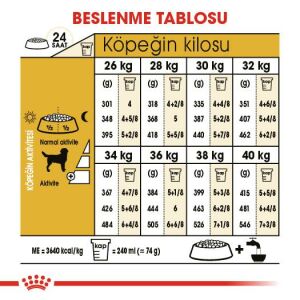 Royal Canin Labrador Retriever Irka Özel Yetişkin Köpek Maması 12kg
