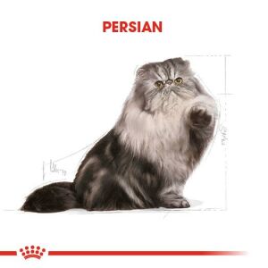 Royal Canin Persian Yetişkin Kedi Mama 10kg