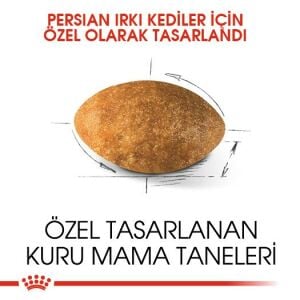 Royal Canin Persian Yetişkin Kedi Mama 10kg