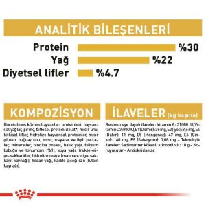 Royal Canin Persian Yetişkin Kedi Mama 10kg