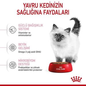 Royal Canin Kitten Yavru Kedi Maması 10kg